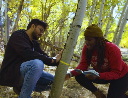 students measuring tree trunk